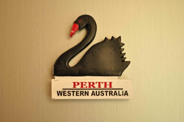 Perth Swan